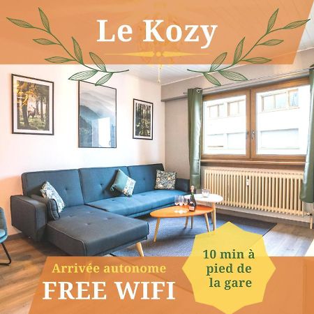 Le Kozy - Wifi - Centre Ville - Proche Commerces Sarrebourg Eksteriør billede